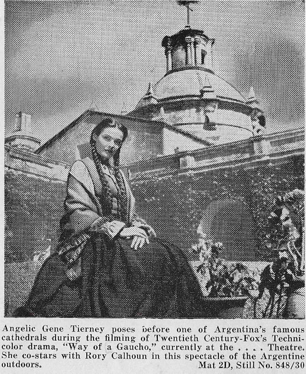 草原の追跡の写真