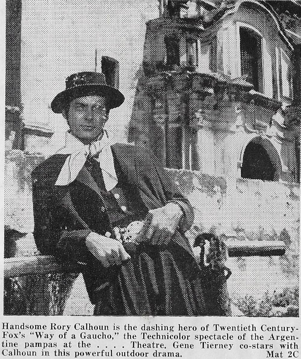 草原の追跡の画像