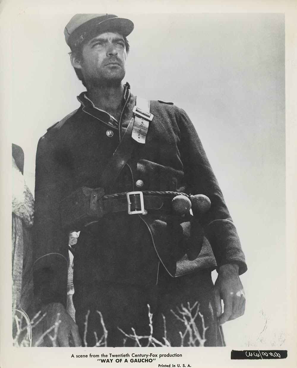 草原の追跡の画像