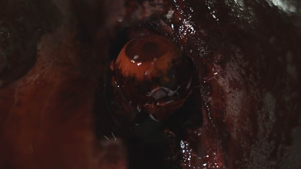 アウトブレイク ライジングの画像