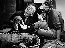 野生のエルザの画像