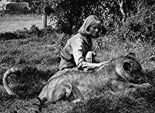 野生のエルザの画像