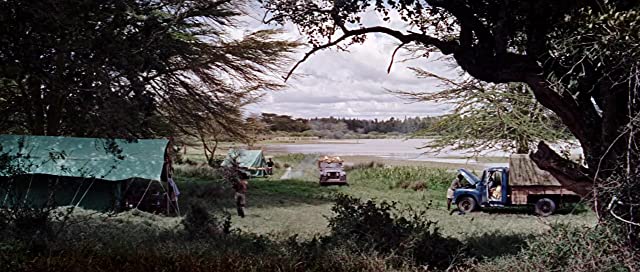 野生のエルザの画像