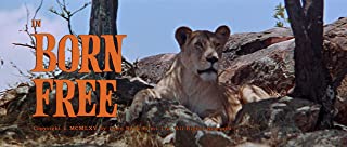 野生のエルザの画像