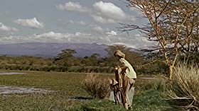 野生のエルザの画像