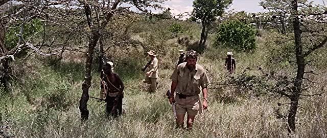 野生のエルザの画像