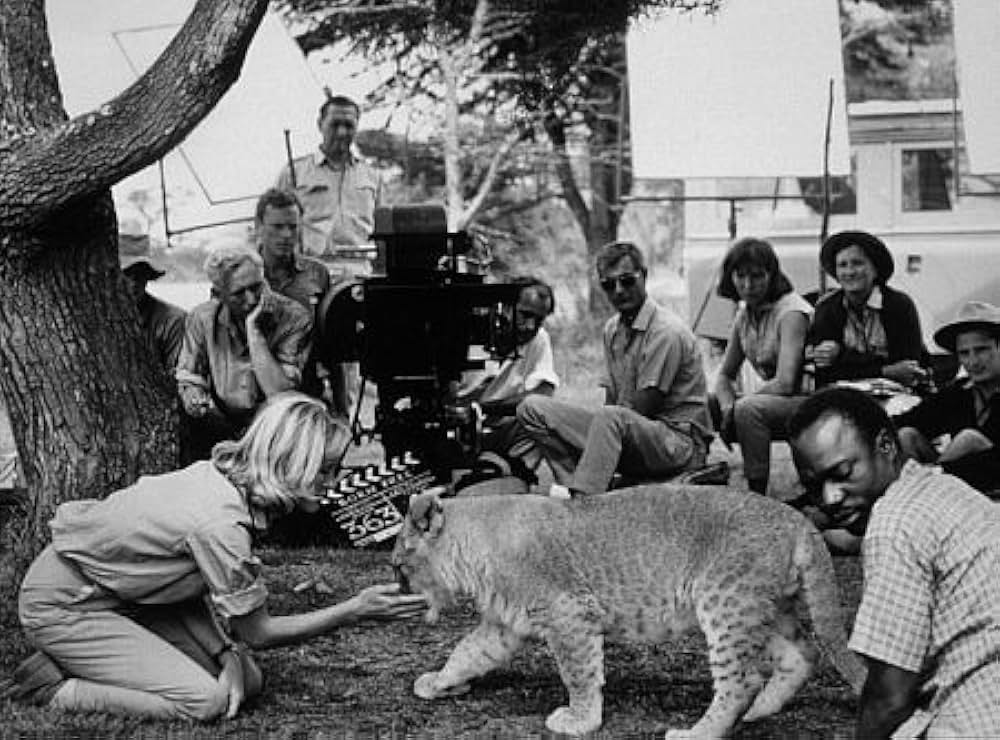 野生のエルザの画像