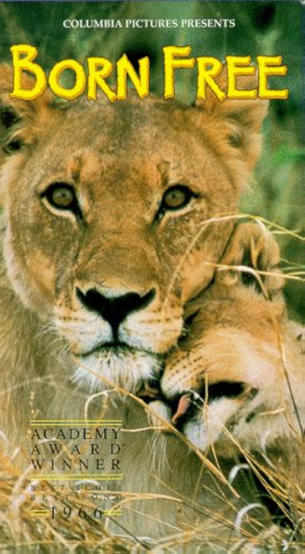 野生のエルザの画像