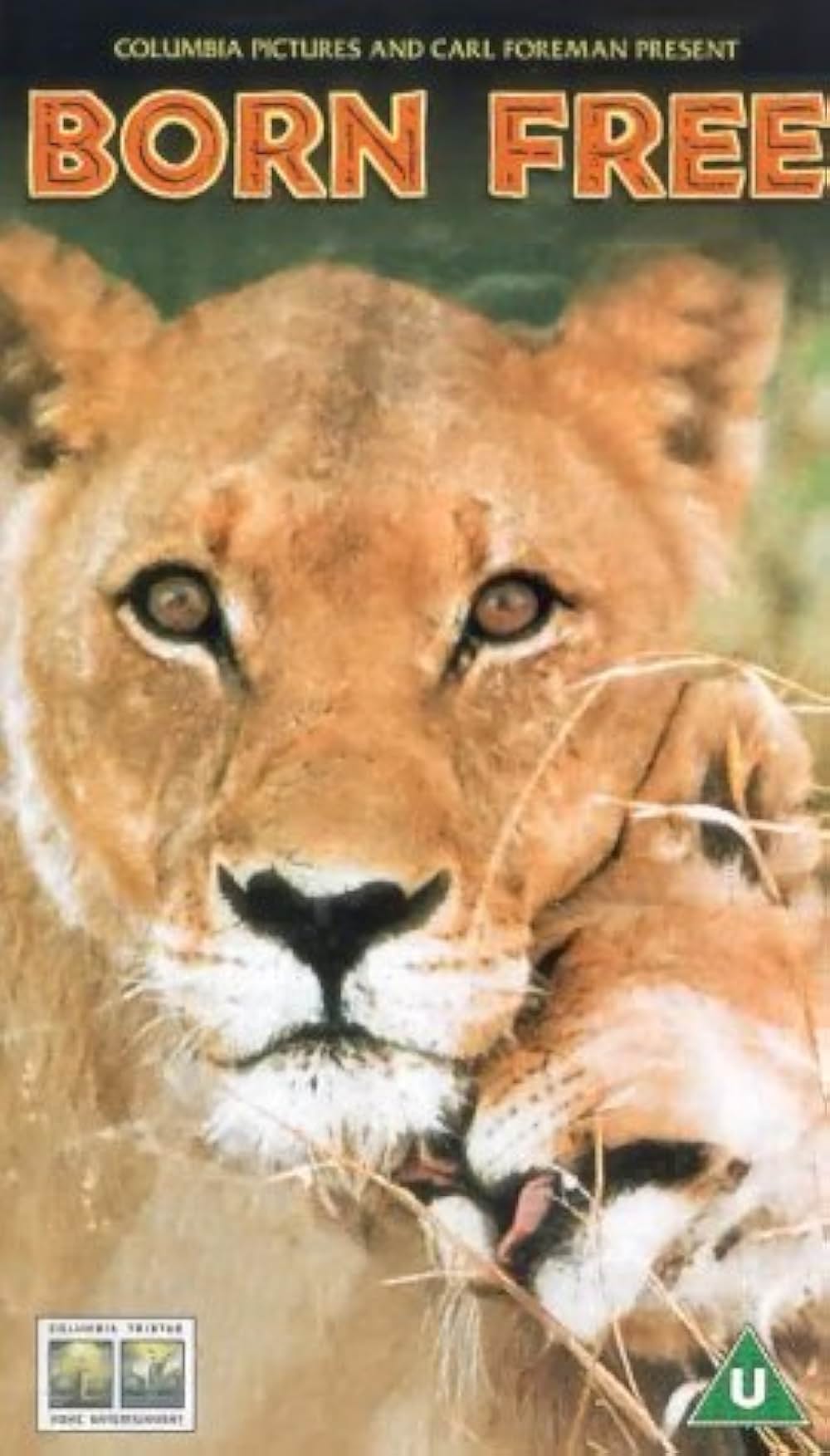 野生のエルザの画像