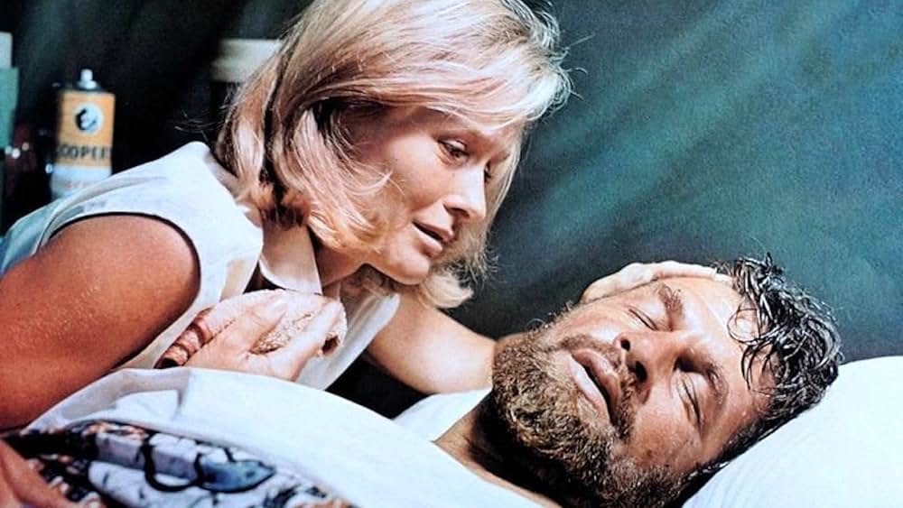 野生のエルザの画像