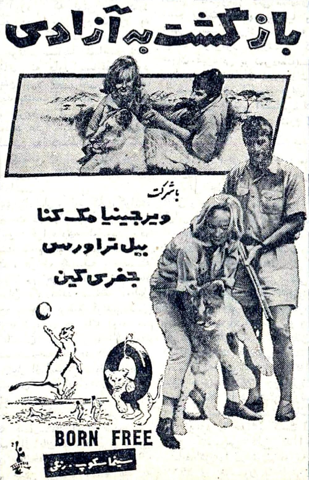 野生のエルザの画像