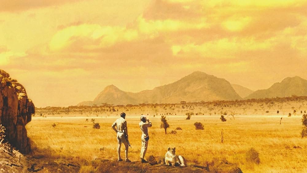 野生のエルザの画像