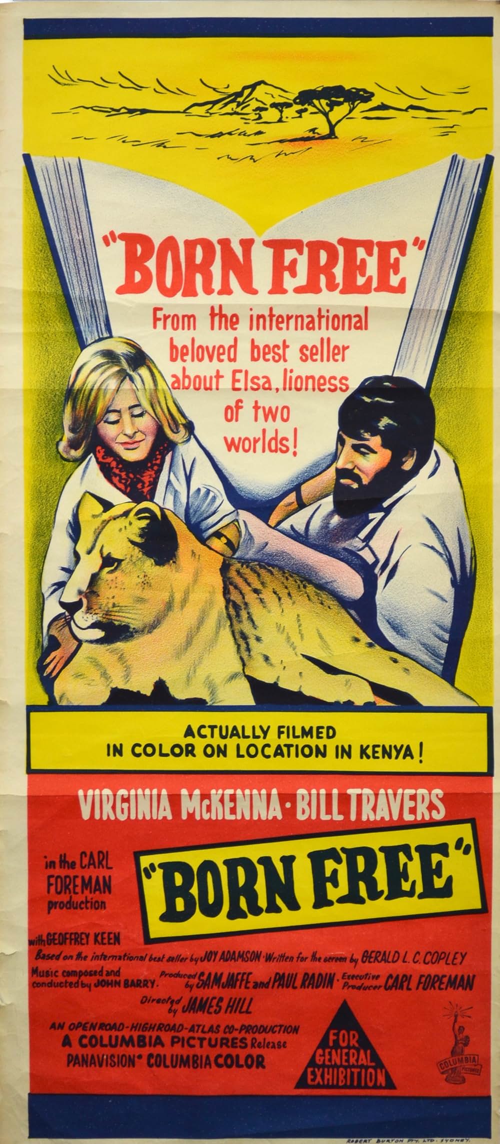 野生のエルザの画像