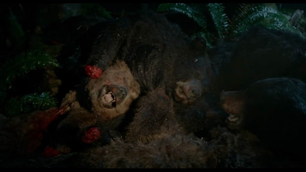 Into the Grizzly Mazeの画像