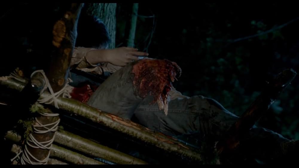 Into the Grizzly Mazeの画像