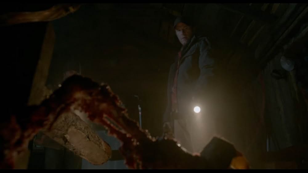 Into the Grizzly Mazeの画像