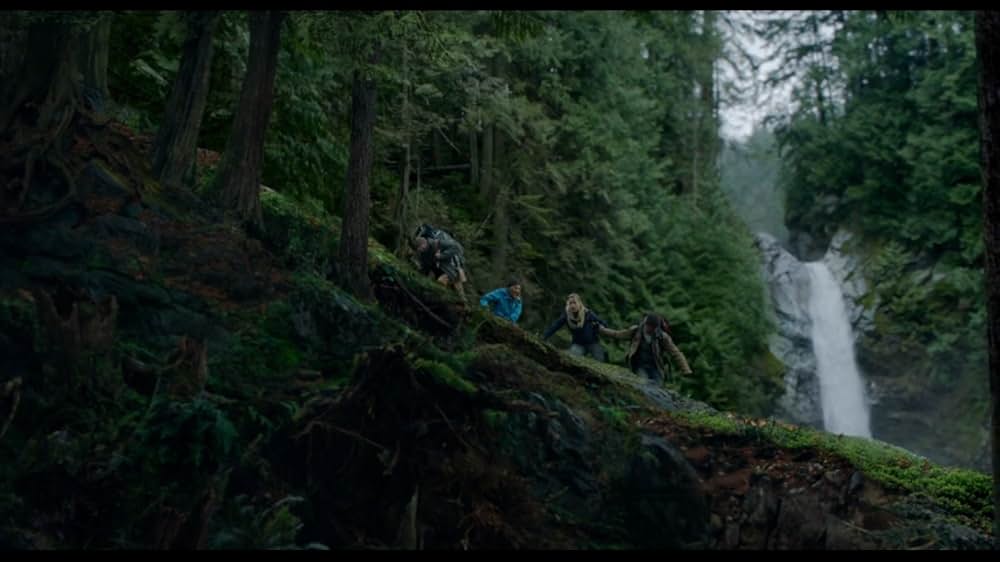 Into the Grizzly Mazeの画像