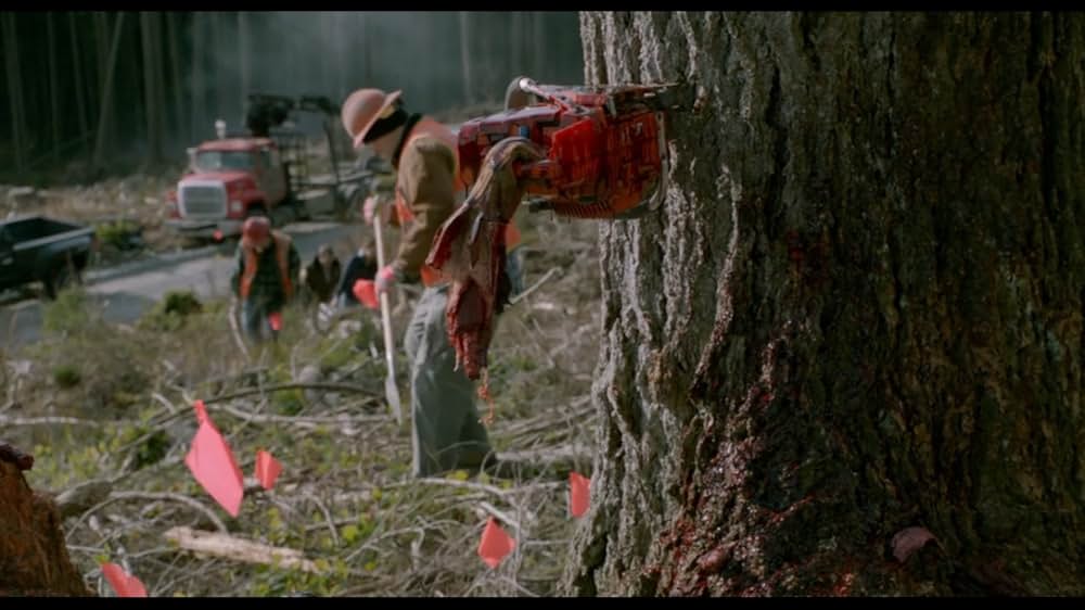 Into the Grizzly Mazeの画像