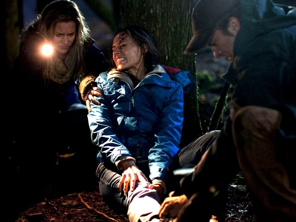 Into the Grizzly Mazeの画像