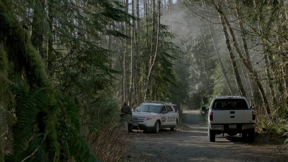 Into the Grizzly Mazeの画像