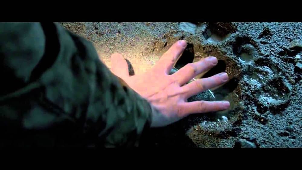 Into the Grizzly Mazeの画像