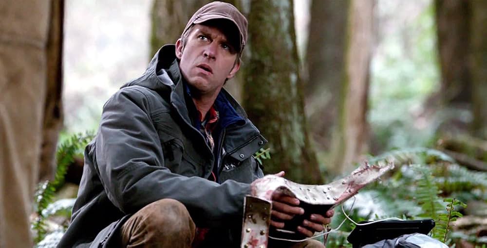 Into the Grizzly Mazeの画像