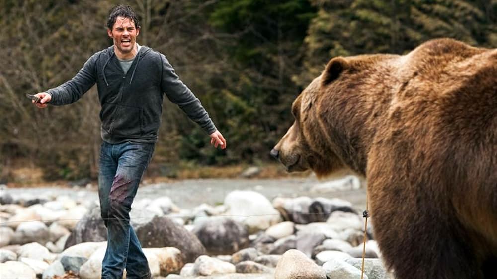 Into the Grizzly Mazeの画像