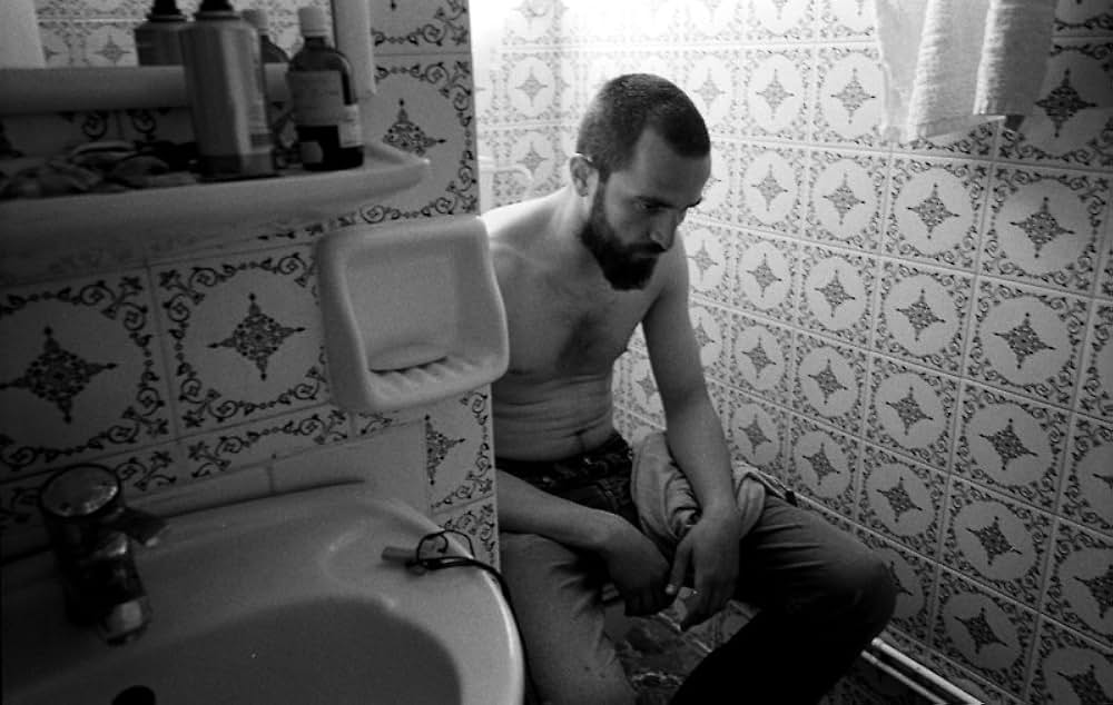 キネッタの画像