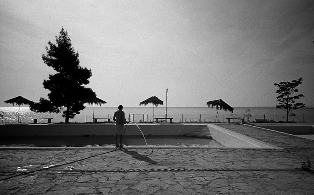 キネッタの画像