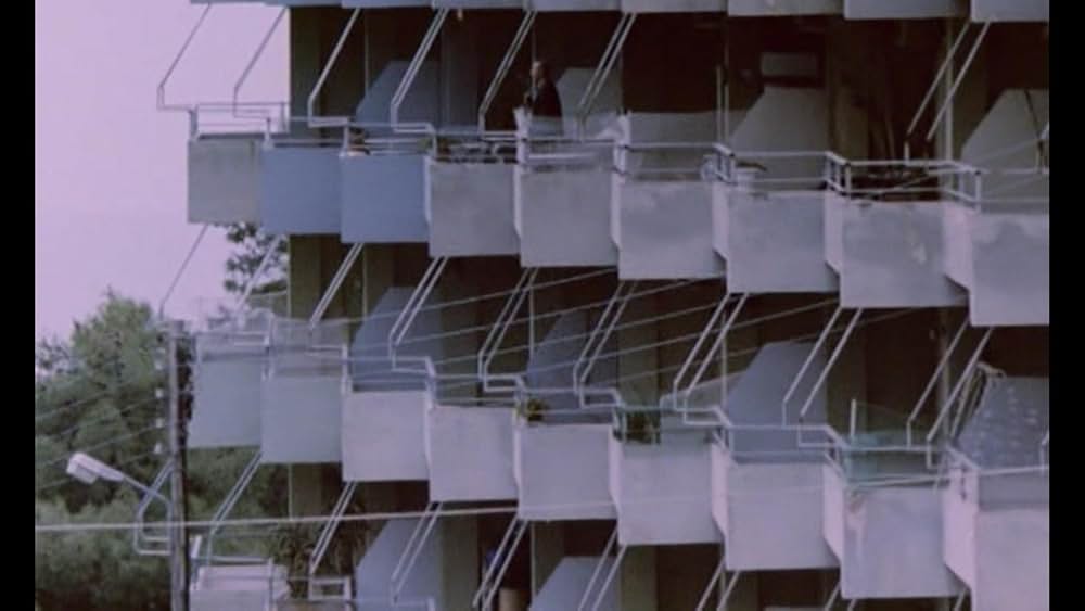 キネッタの画像