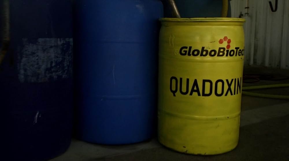 クズ・ゾンビの画像