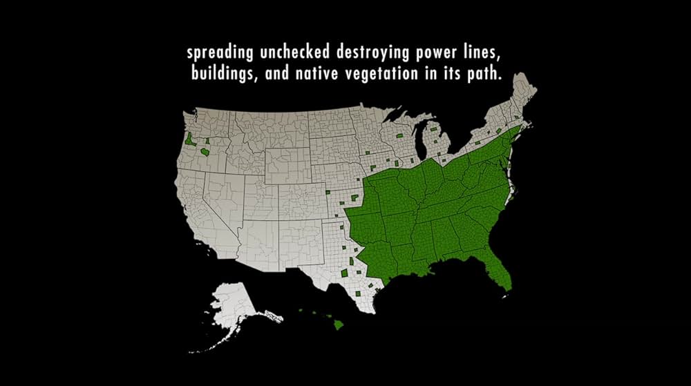 クズ・ゾンビの画像