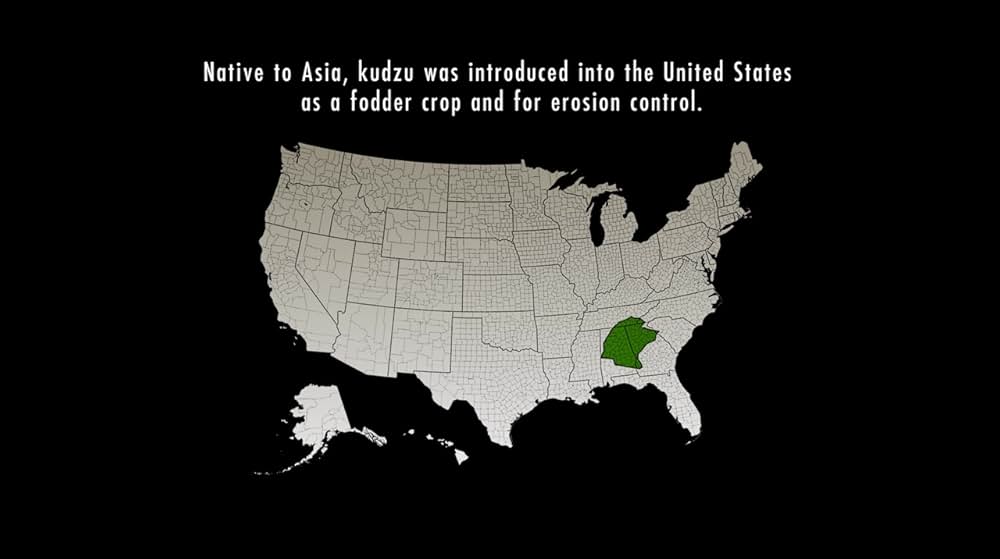 クズ・ゾンビの画像