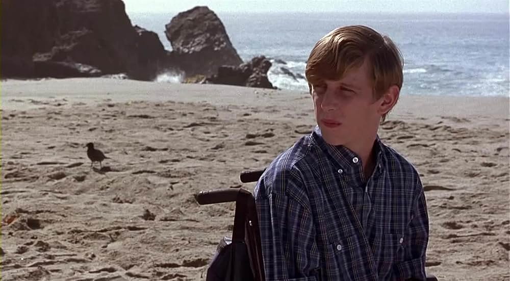 パンプキン（原題）の画像