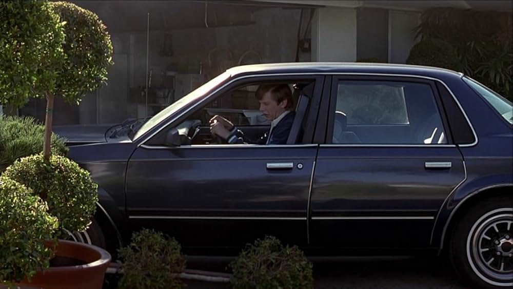 パンプキン（原題）の画像