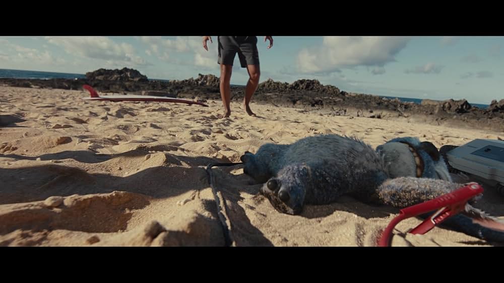 リロ＆スティッチの画像