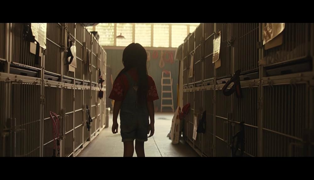 リロ＆スティッチの画像