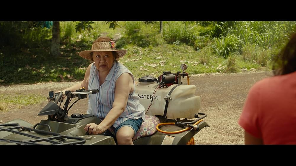 リロ＆スティッチの画像