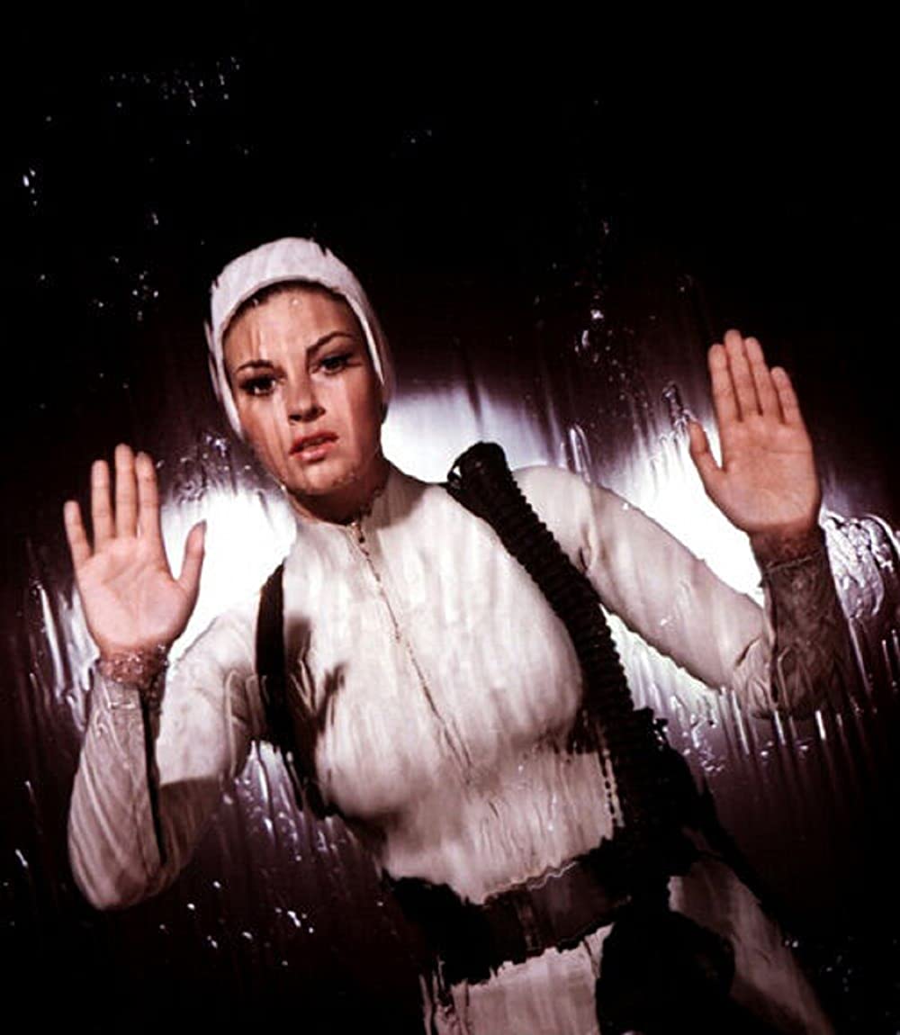 ミクロの決死圏の画像