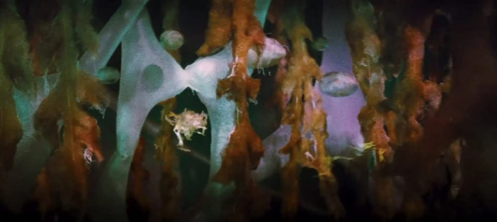 ミクロの決死圏の画像