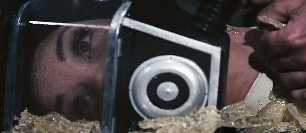 ミクロの決死圏の画像