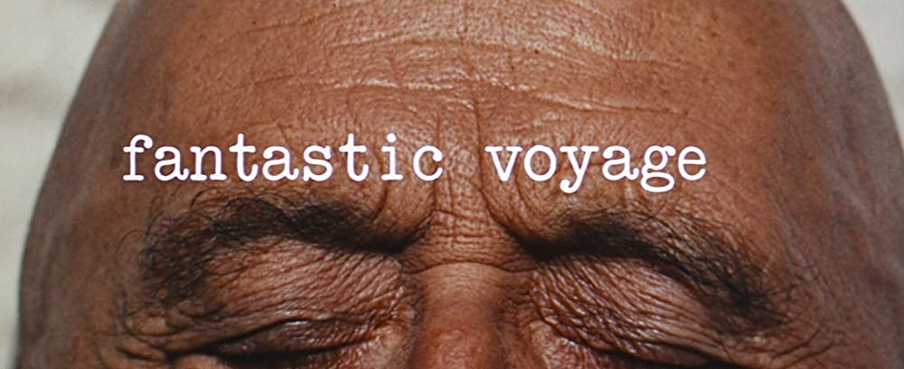 ミクロの決死圏の画像