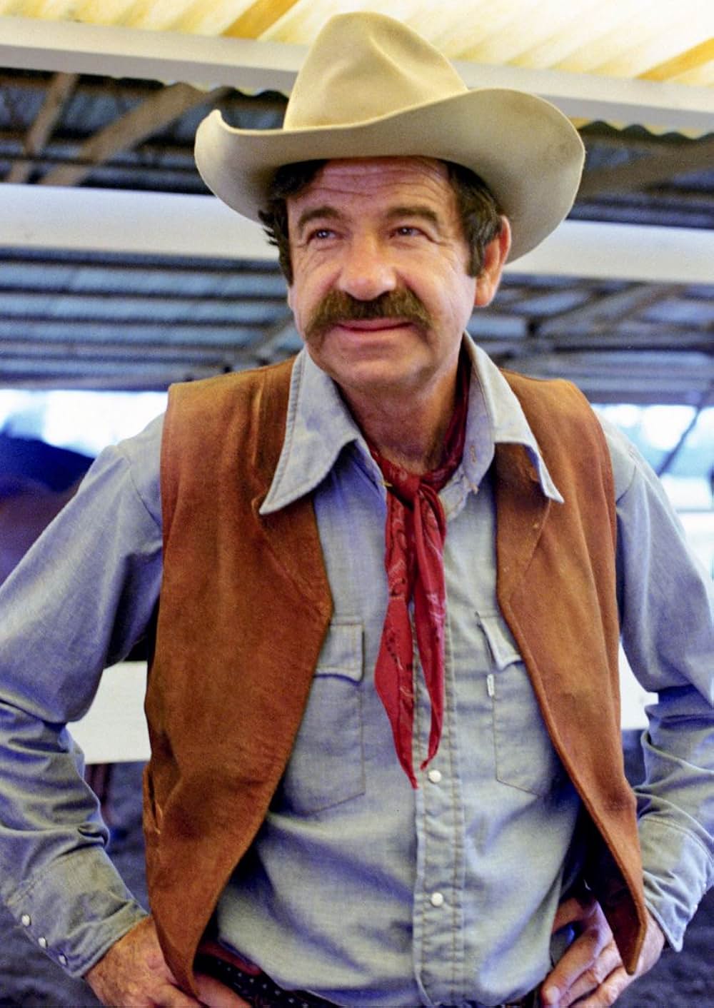 すばらしき仲間たちの画像