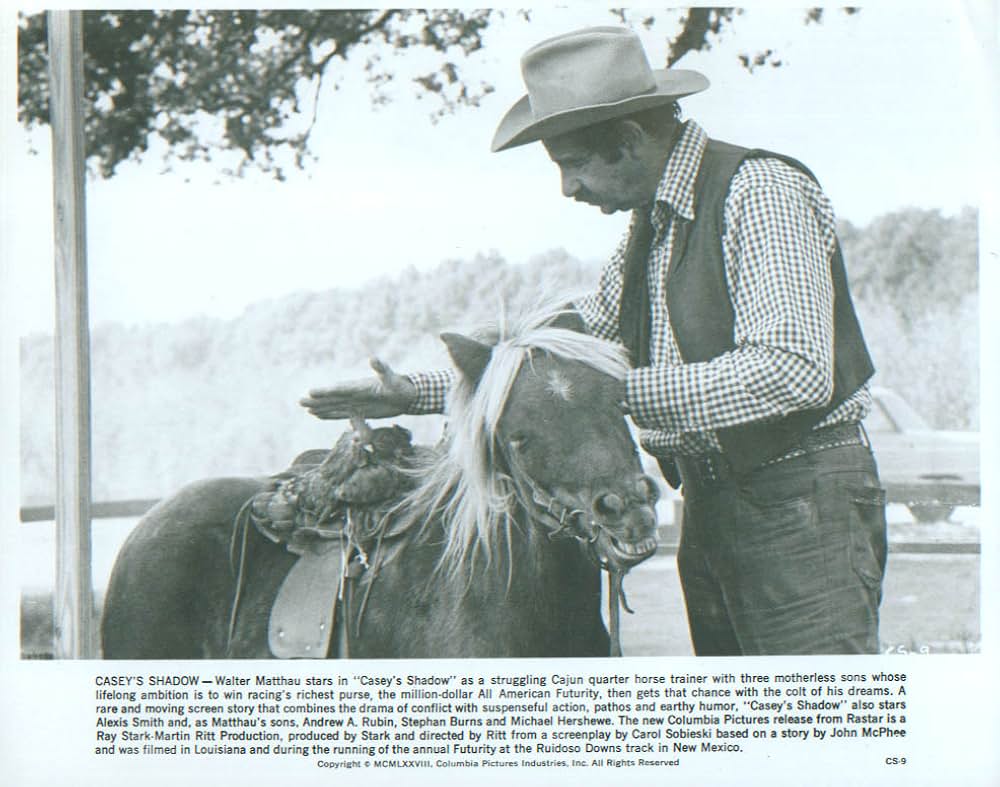 すばらしき仲間たちの画像