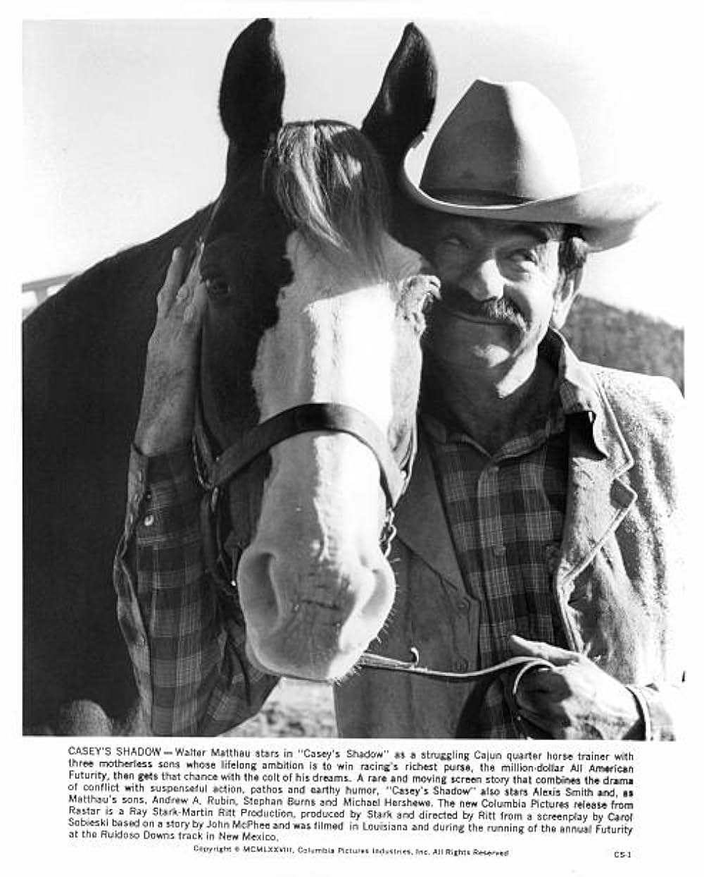 すばらしき仲間たちの画像