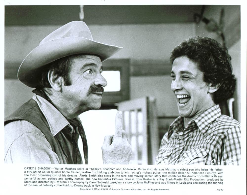 すばらしき仲間たちの画像