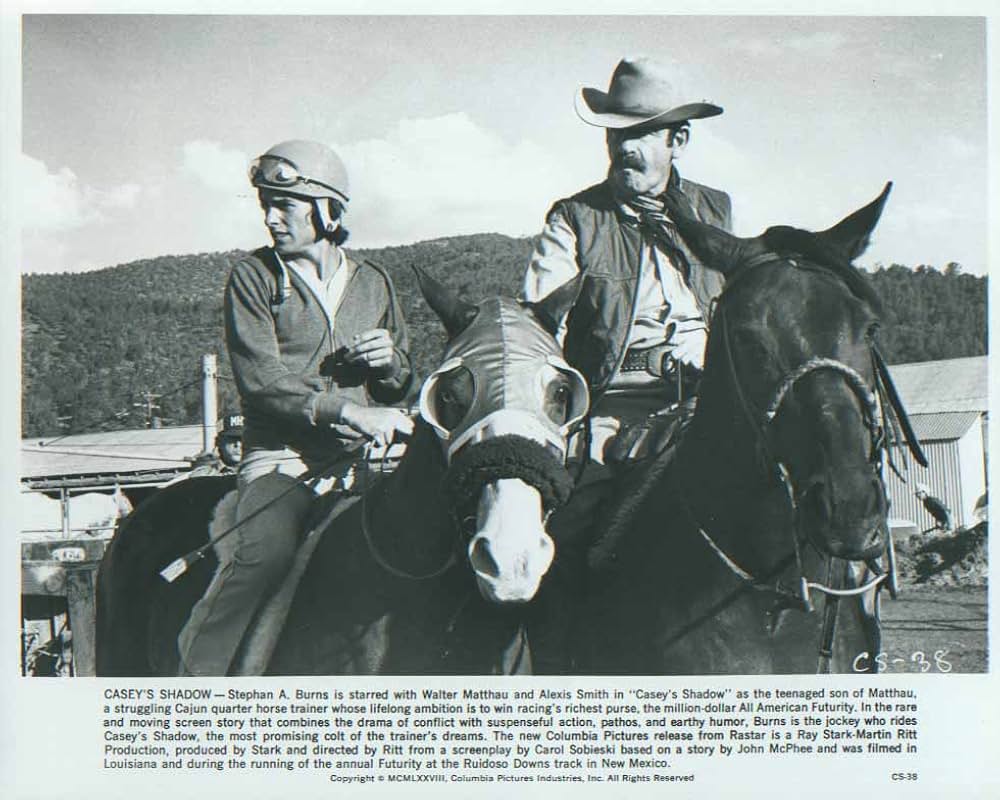 すばらしき仲間たちの画像