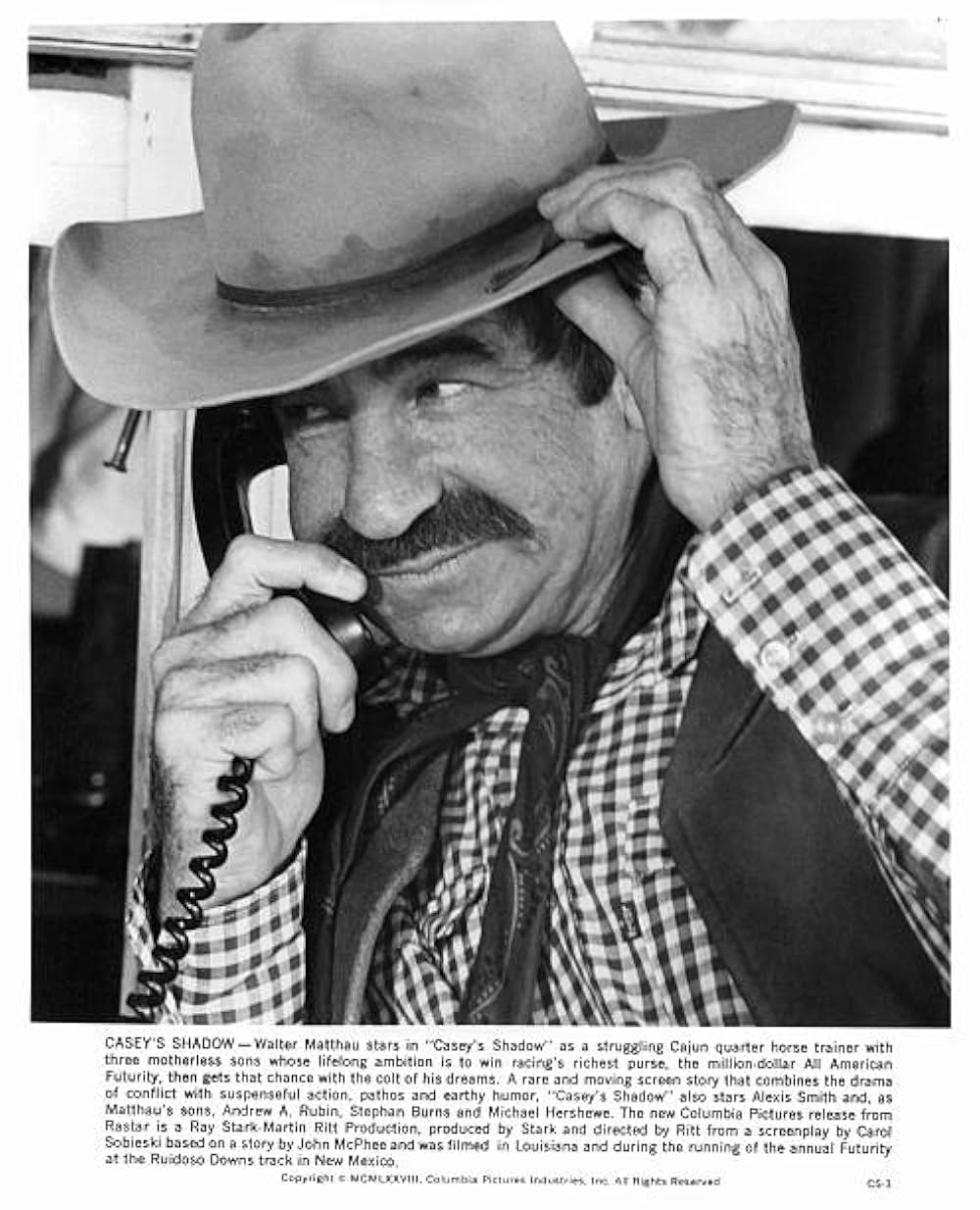 すばらしき仲間たちの写真