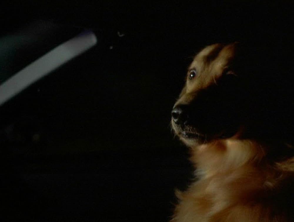 スラッガーズ・ワイフの画像