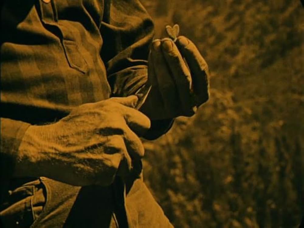 鄙より都会への画像